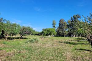 Lote 4 - Colastine Norte - C. Matacos 5000