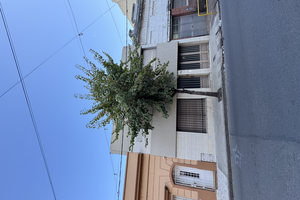 Casa 4 dormitorios con pileta y patio amplio — 4 de Enero