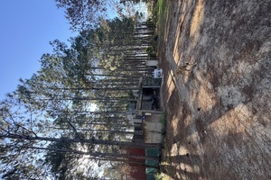 Casa de dos planta