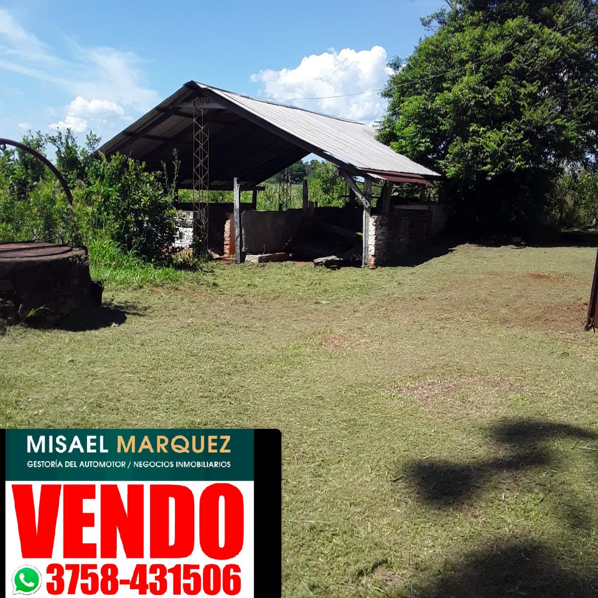 13 HECTAREAS TIERRA COLORADA CON 9 DE YERBA MATE