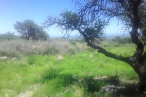 Venta de Terrenos al pie de las sierras.