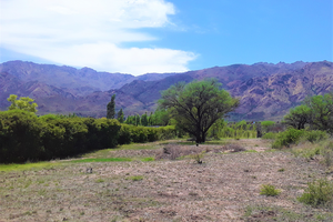 Loteo Piel del Aire ✓ Villa de la Quebrada 