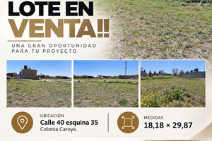 LOTE EN VENTA- COLONIA CAROYA