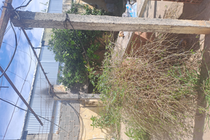 Propiedad a Remodelar en Calle Rioja - Imagen 3