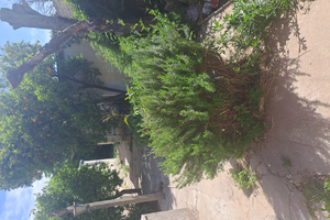 Propiedad a Remodelar en Calle Rioja - Imagen 4