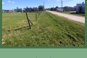 Lote - Imagen 3