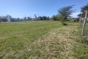 Lote - Imagen 2