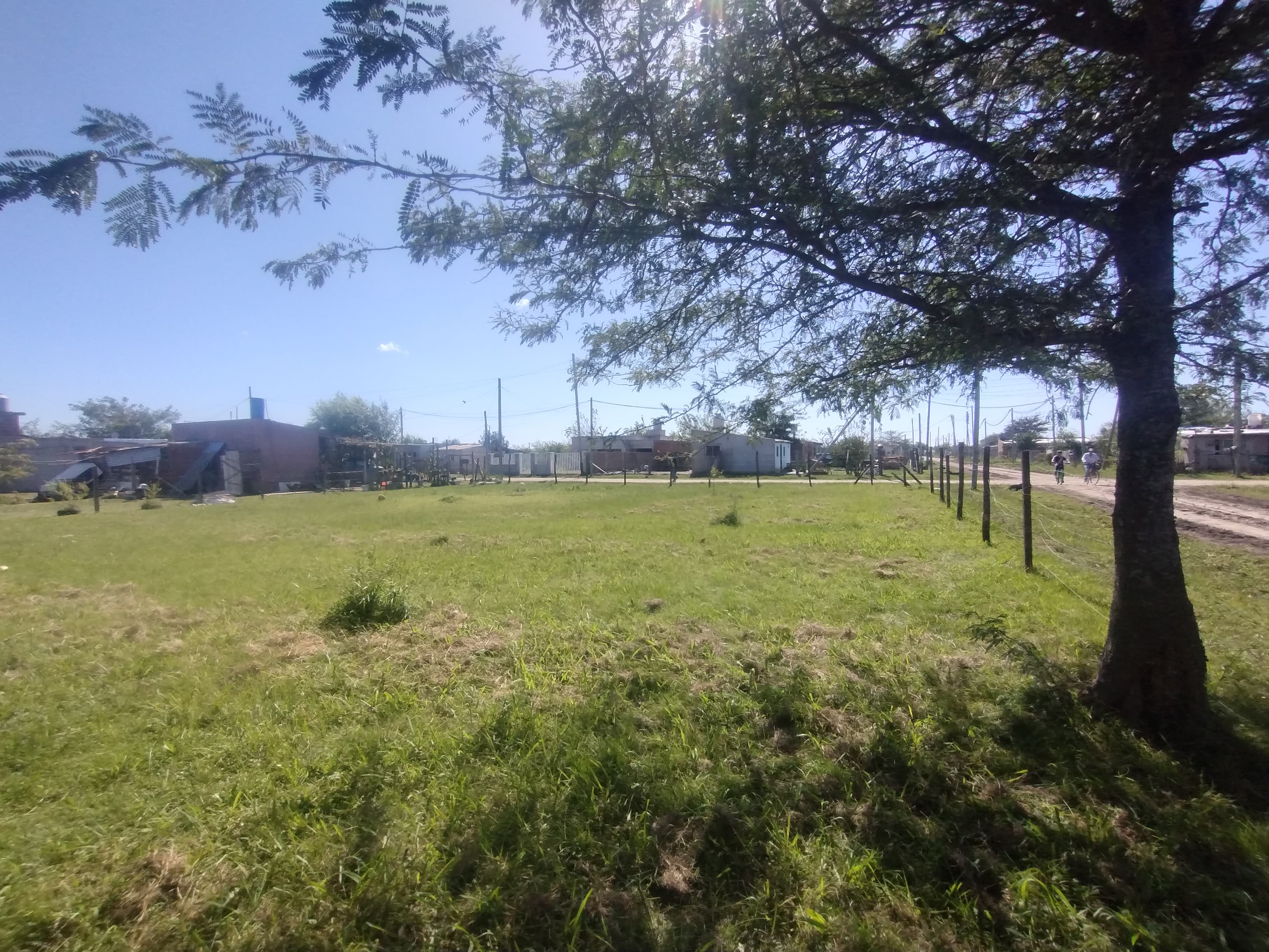 Lote
