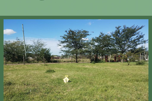 Lote - Imagen 4