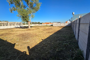 Lote