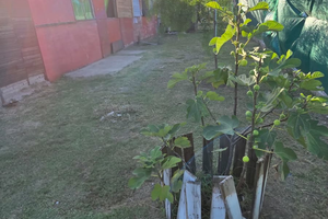 🌿Se vende casa 🏡 500mts de la Autopista 🛣️ - Imagen 5