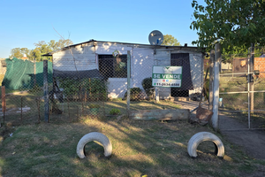 🌿Se vende casa 🏡 500mts de la Autopista 🛣️ - Imagen 4