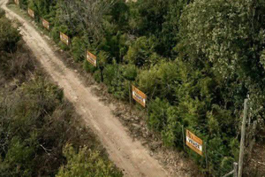 VENTA DE 9 LOTES CON EXCELENTE UBICACION - Imagen 3