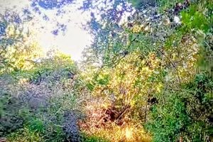 LOTE EN VENTA LAS CHACRAS SUR - Imagen 2