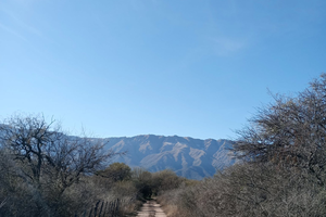 VENTA DE LOTE EN LASCHACRAS SUR - Imagen 3