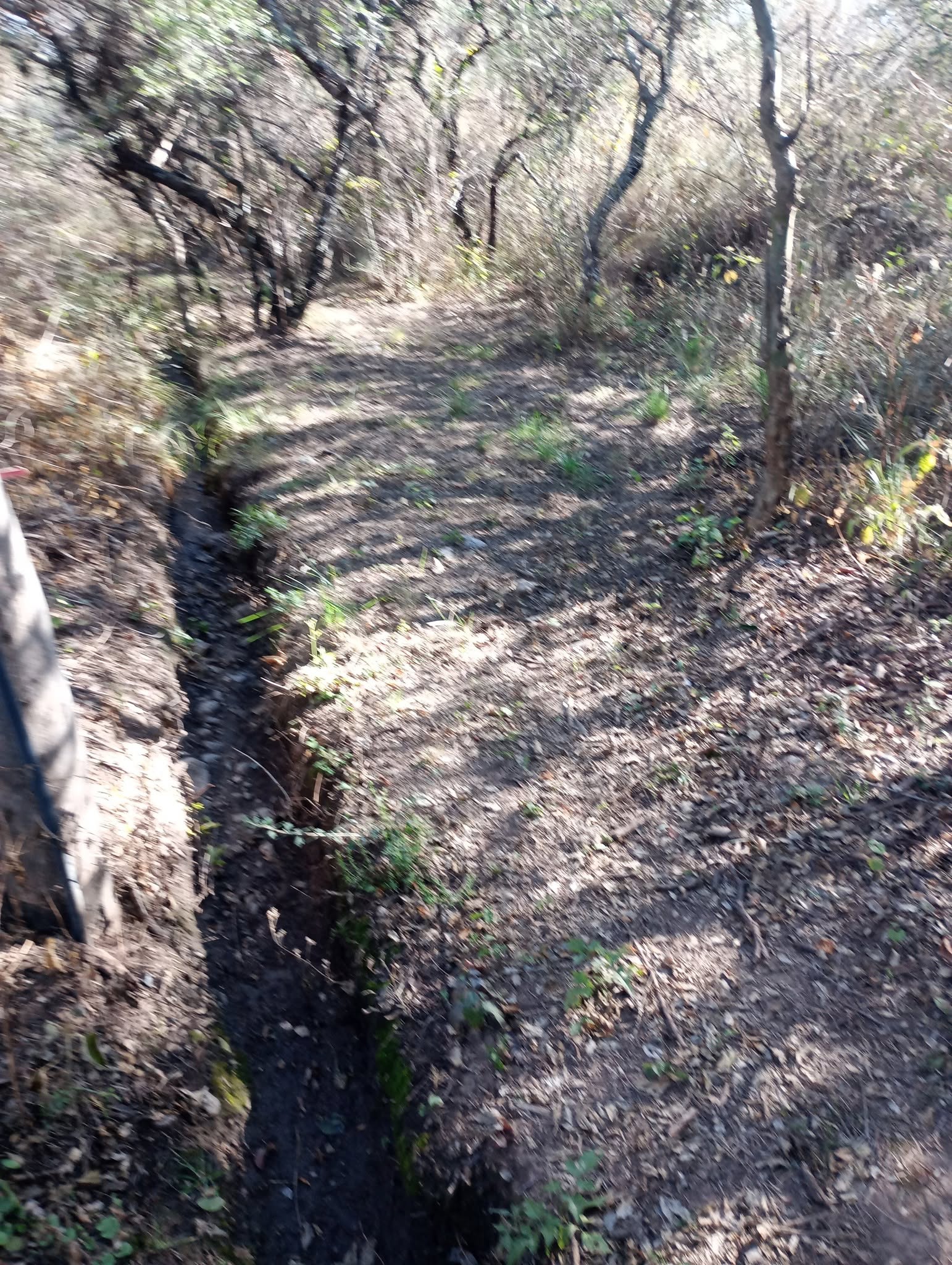 VENTA DE LOTE EN LASCHACRAS SUR