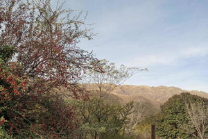 VENTA DE LOTE EN RINCON DEL ESTE - Imagen 3