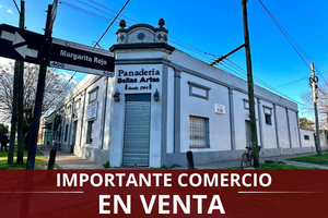 Comercio + propiedad