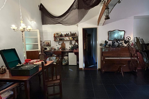 CASA QUINTA MERLO - Imagen 3